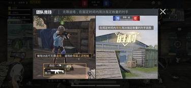 小丑女和平精英爆料视频,神秘新内容即将揭晓！  第2张