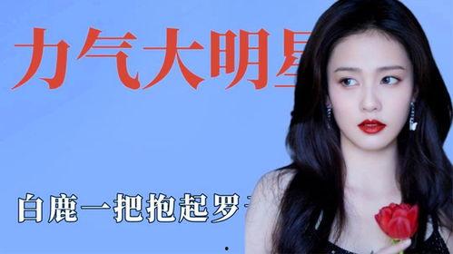 明星白鹿爆料视频大全下载,揭秘明星幕后故事 第3张 明星白鹿爆料视频大全下载,揭秘明星幕后故事 第3张